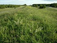 Kuressaare-Putla-Haeska raudtee 2003.a.